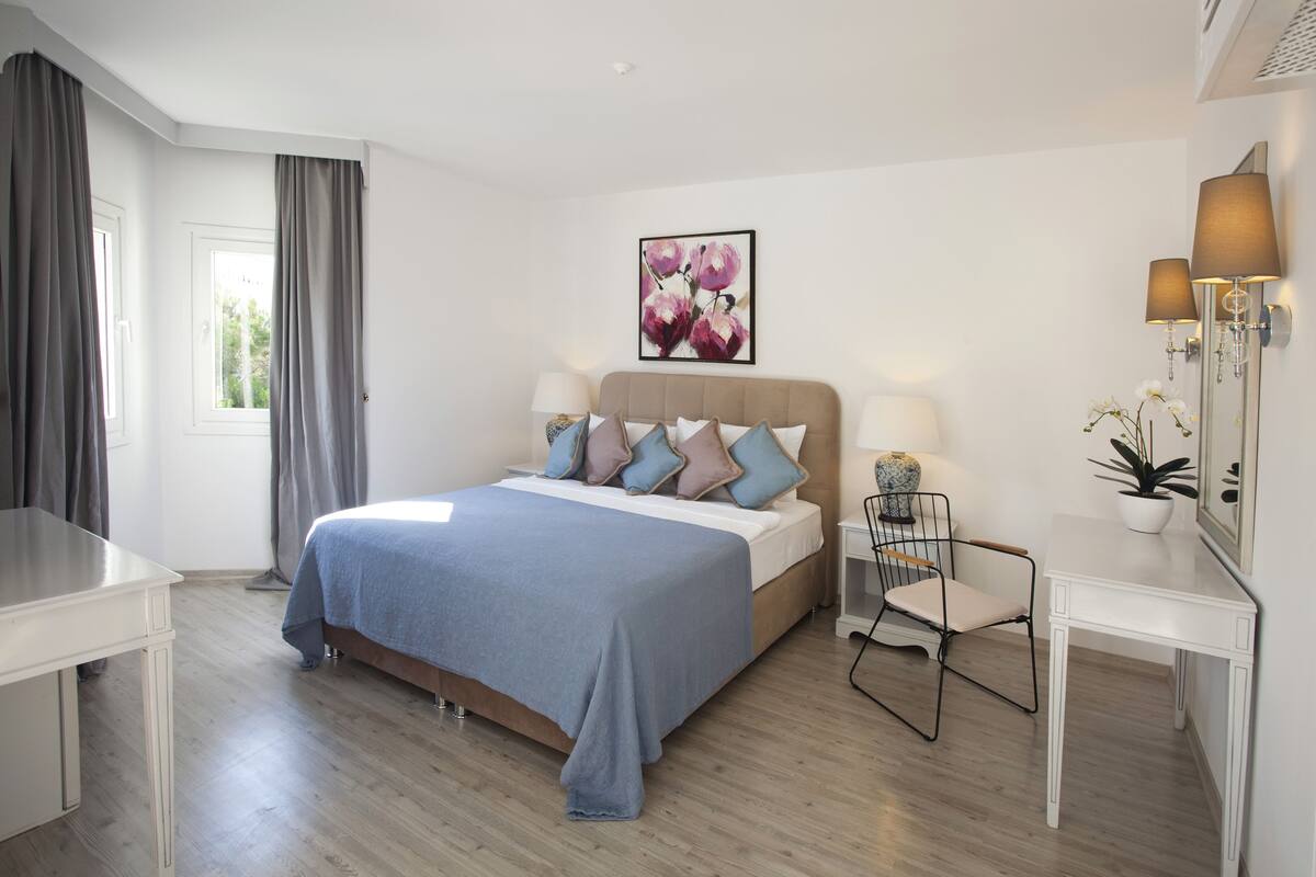 Deluxe Double Room | Minibar, WiFi (free)