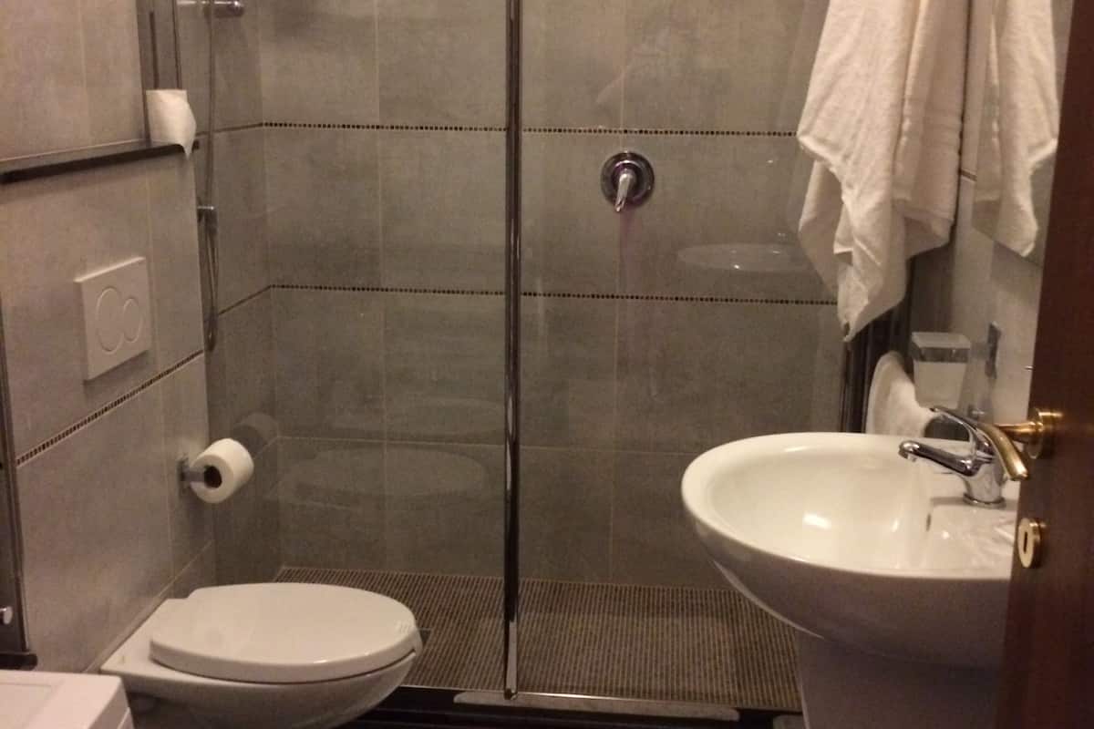 shower, free toiletries, hair dryer, bidet