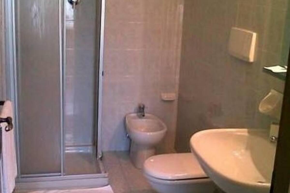 shower, free toiletries, hair dryer, bidet
