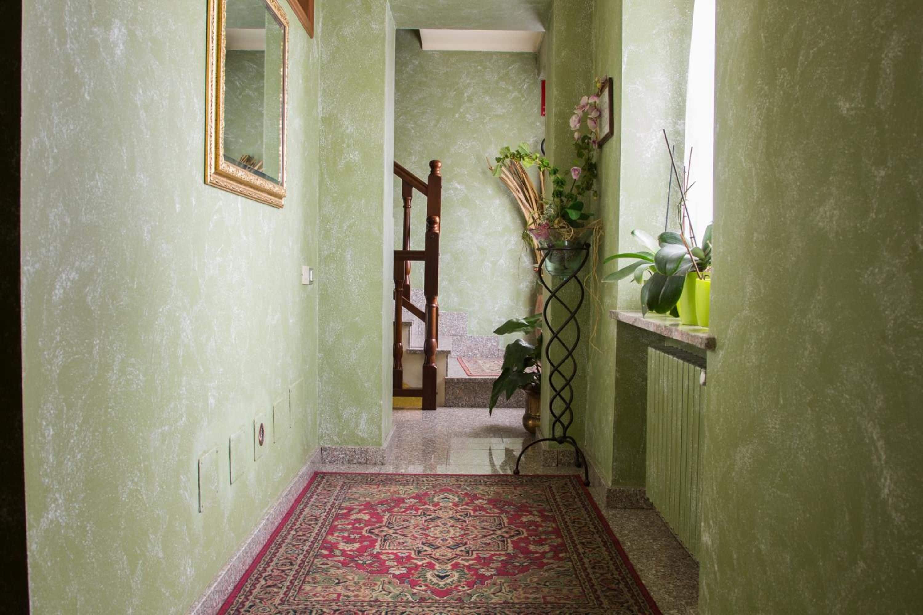 Un pasillo con un tapete estampado, una escalera de madera y una estantería con plantas.
