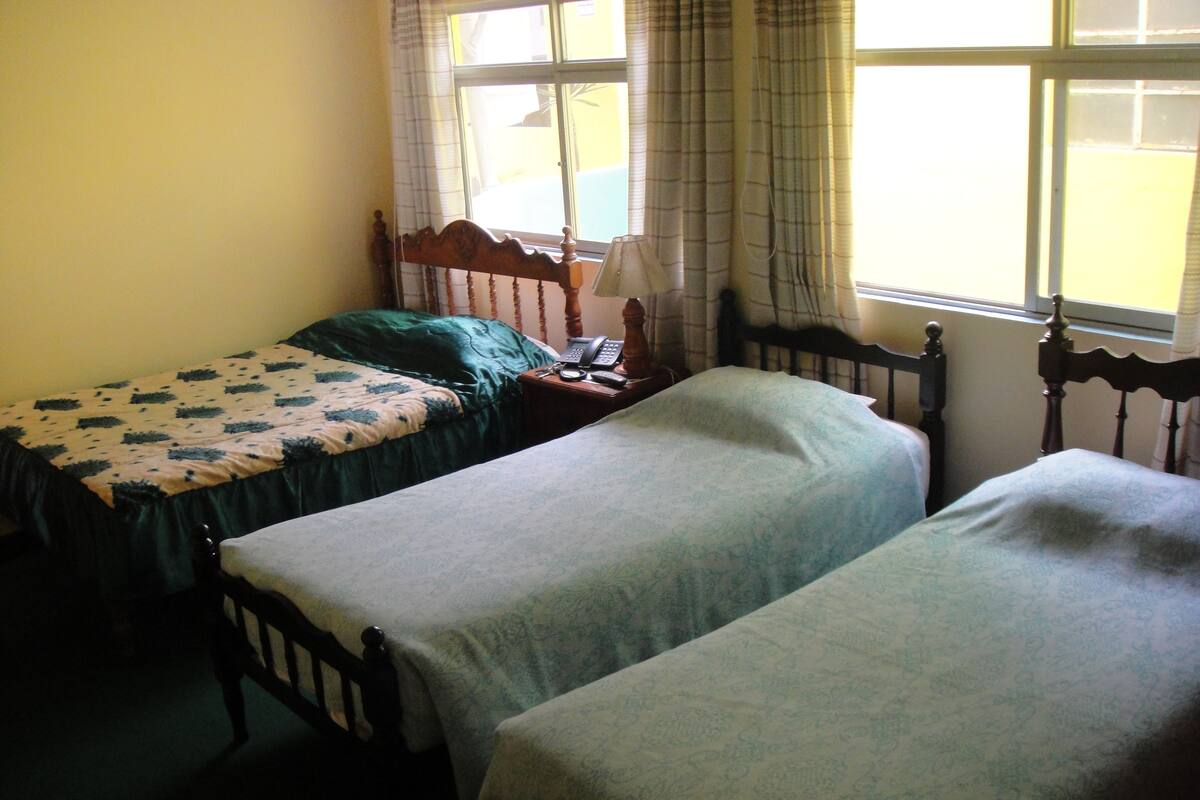 Desk, iron/ironing board, free WiFi