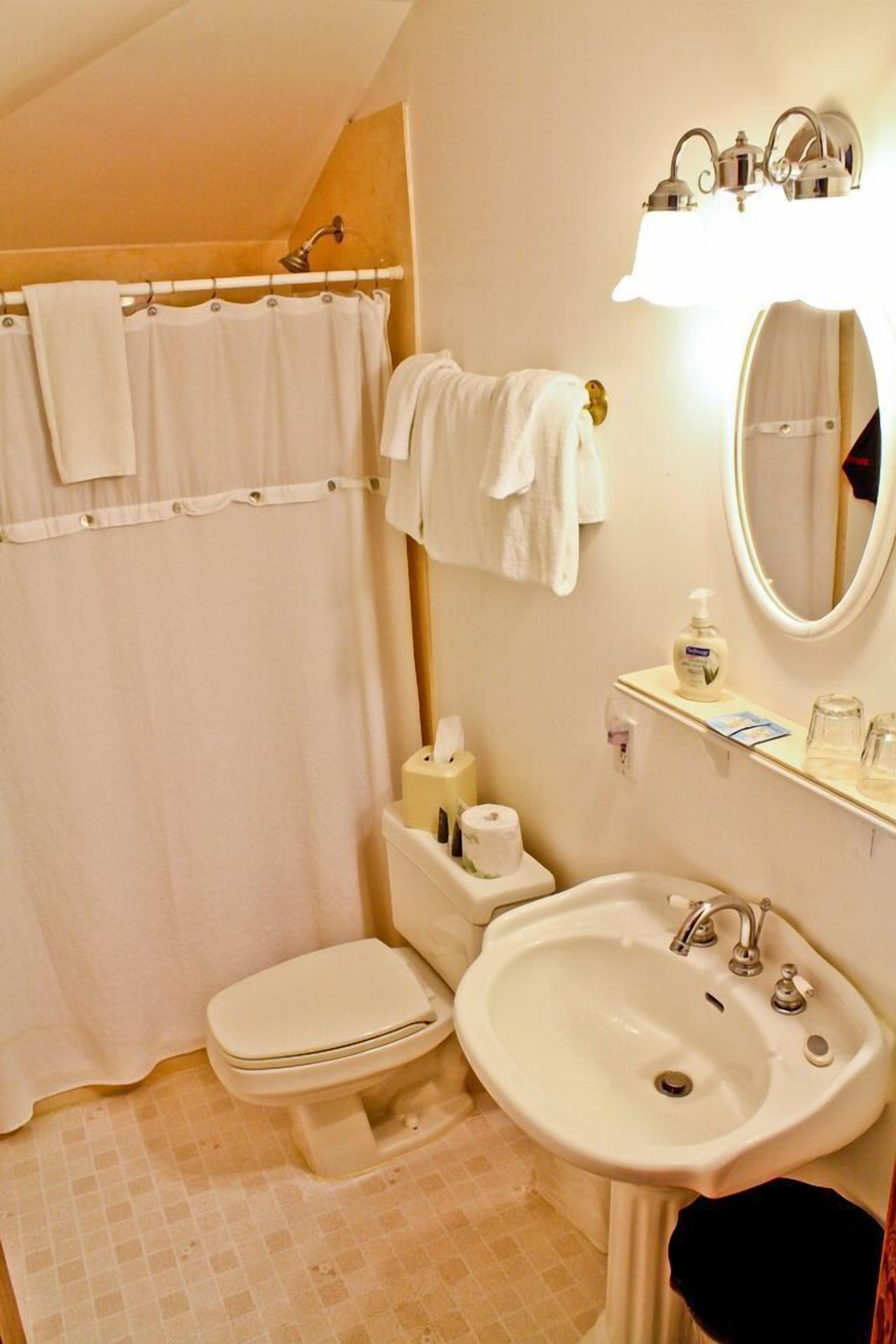 Ein Badezimmer mit Toilette, Waschbecken und Duschvorhang.