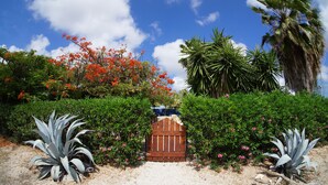 A gated entrance with a wooden gate, surrounded by various plants and trees, including a palm tree and flowering bushes. - Caribbean Chillout (Kralendijk)