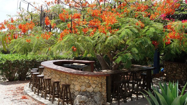 A stone bar with stools, surrounded by lush greenery and flowering trees. - Caribbean Chillout (Kralendijk)