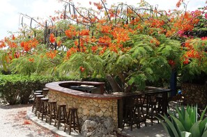 A stone bar with stools, surrounded by lush greenery and flowering trees. - Caribbean Chillout (Kralendijk)