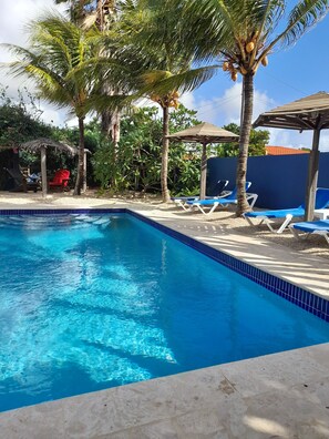Outdoor pool, pool umbrellas, sun loungers - Caribbean Chillout (Kralendijk)