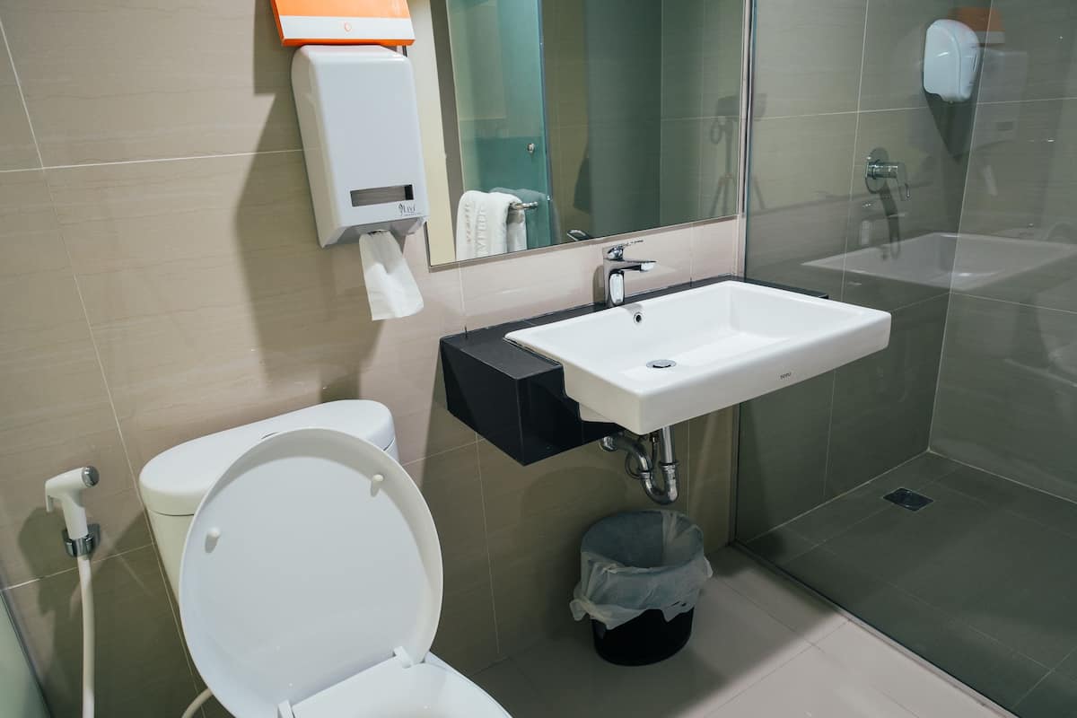 Shower, free toiletries, hair dryer, towels