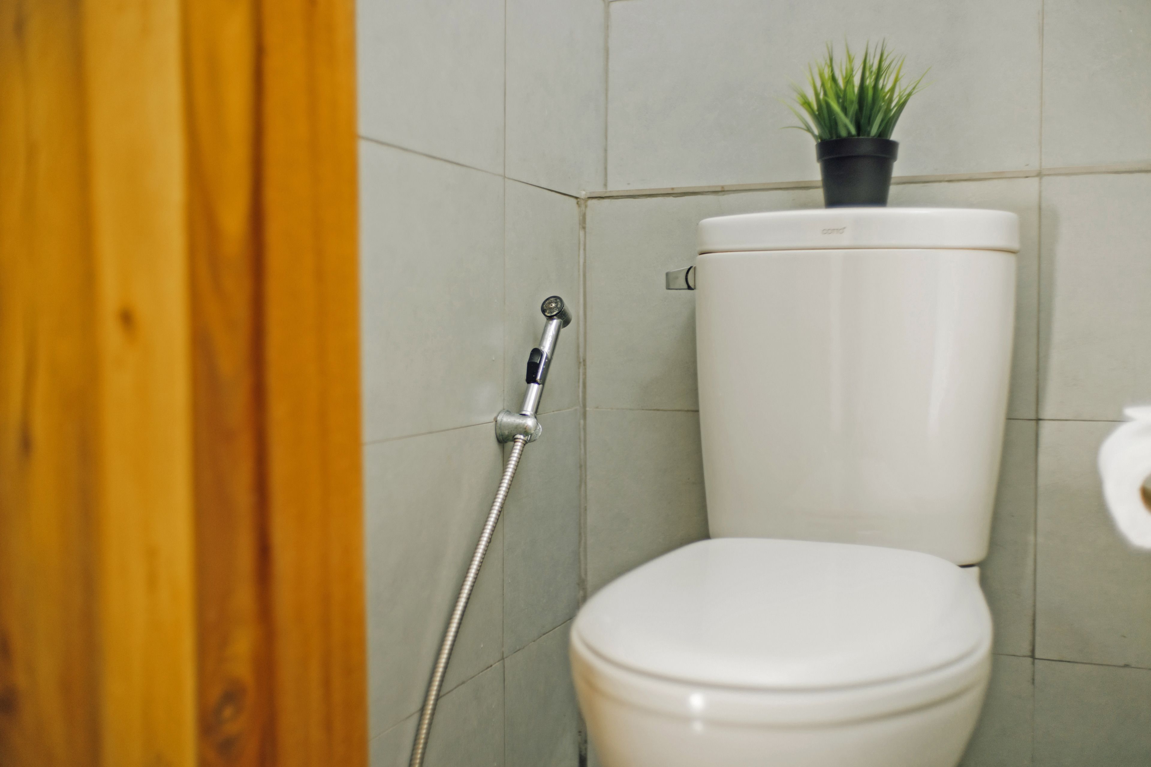 A bathroom with a white toilet, a shower head, and a potted plant on the wall.