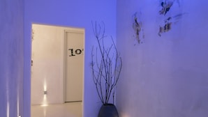 Un pasillo con una puerta identificada con el número 10 y una planta en maceta.