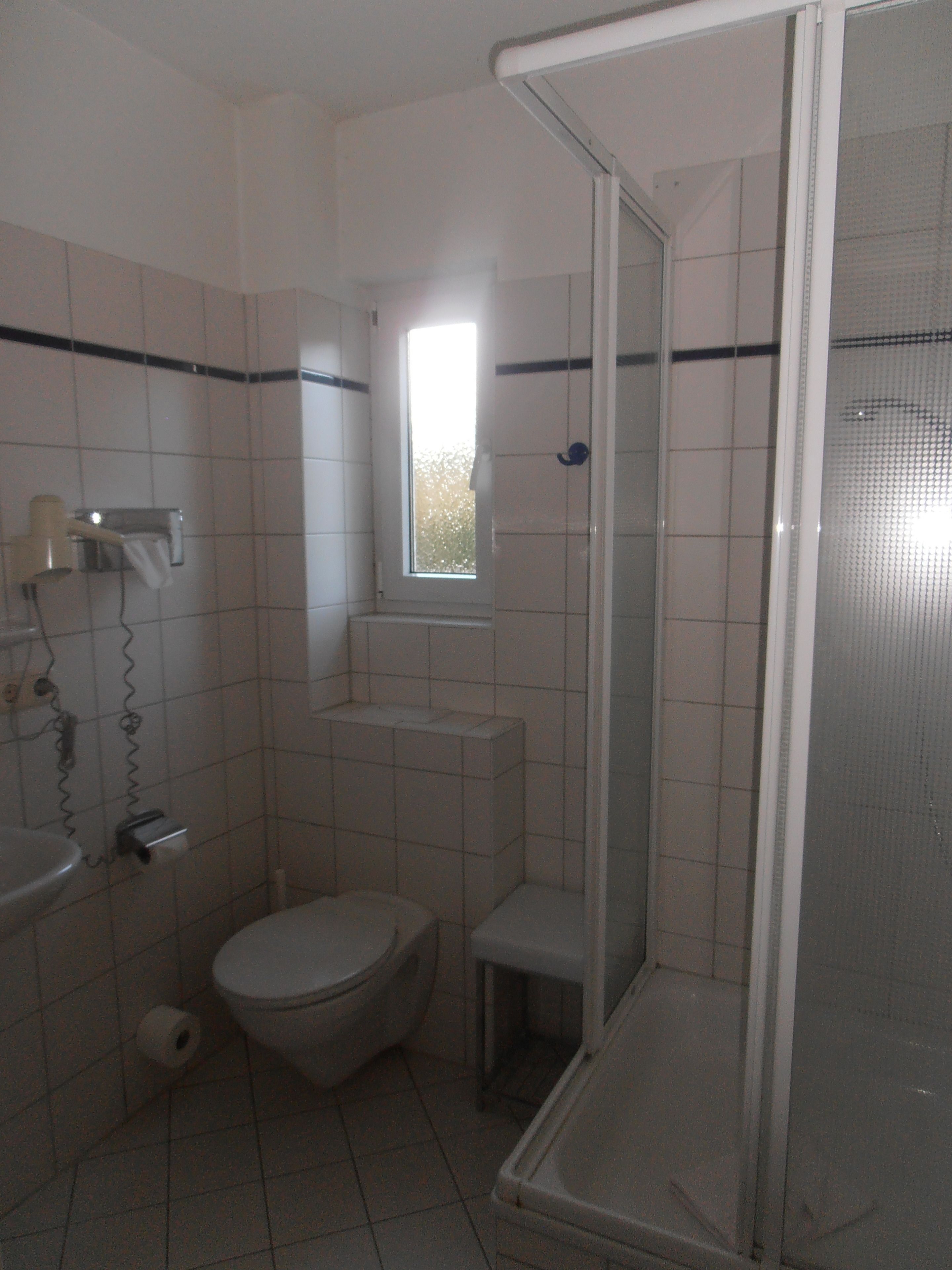 A bathroom with a toilet, a sink, a shower enclosure, and a window.