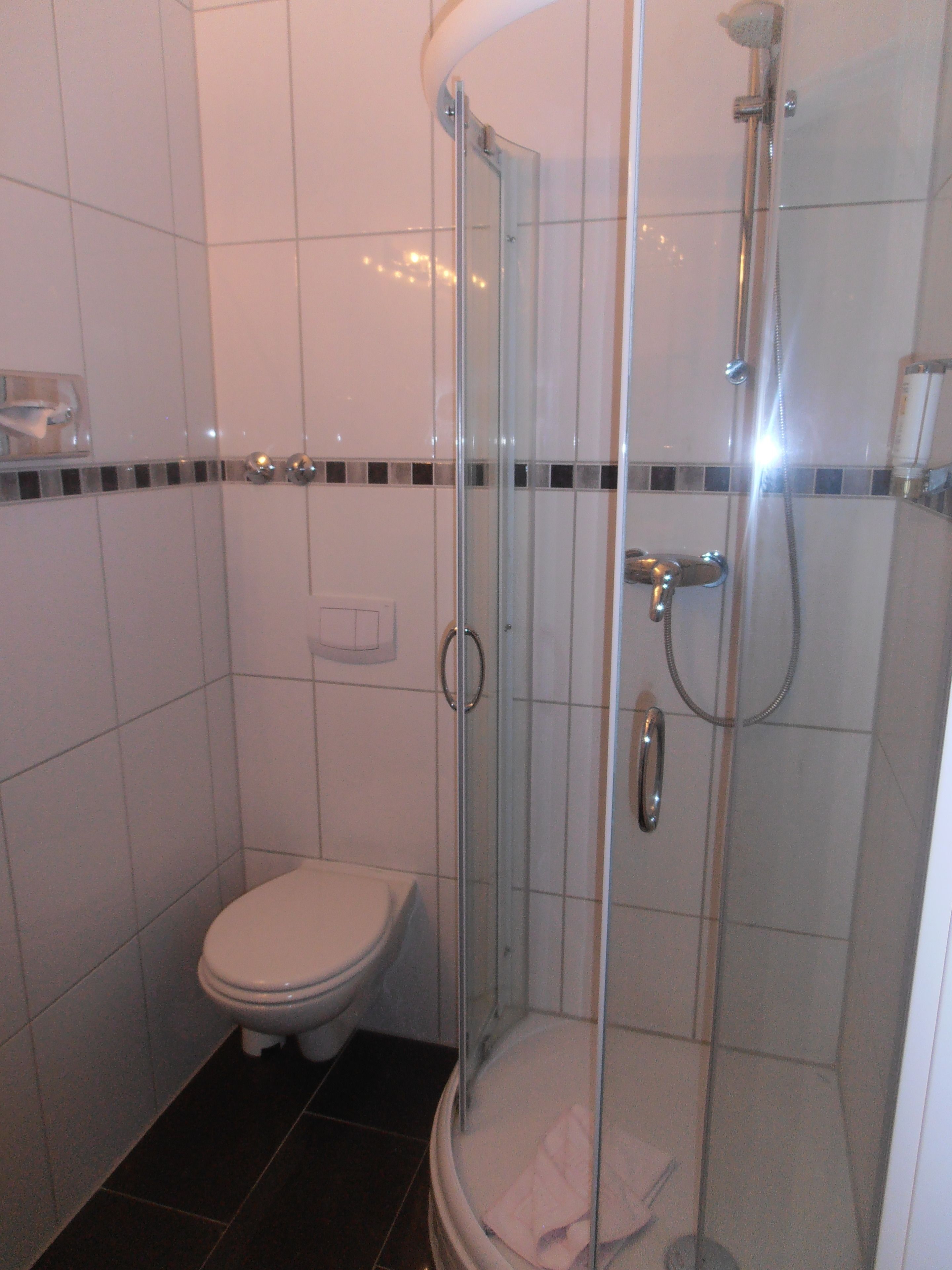 A bathroom with a glass-enclosed shower, a toilet, and a towel rack.