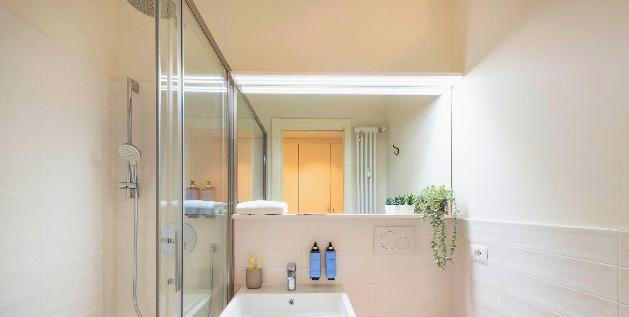 Une salle de bain moderne avec une douche à parois de verre, un lavabo blanc et un miroir. On trouve des articles de toilette sur le lavabo et une plante accrochée au mur.