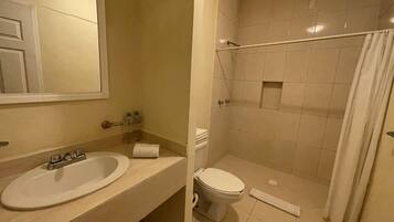 A bathroom with a sink, toilet, and shower area.