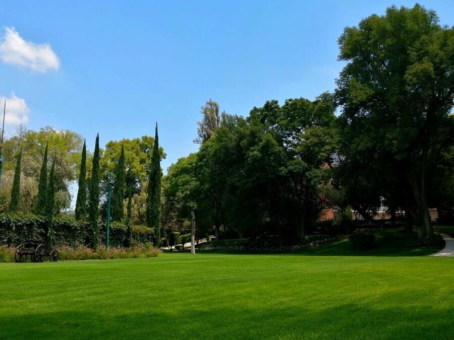 Ein gepflegter Park mit Rasenfläche, Bäumen und einem Weg.