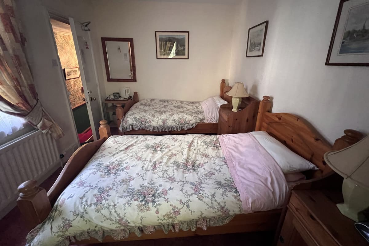 A bedroom with two wooden beds, a nightstand, a lamp, and a radiator.