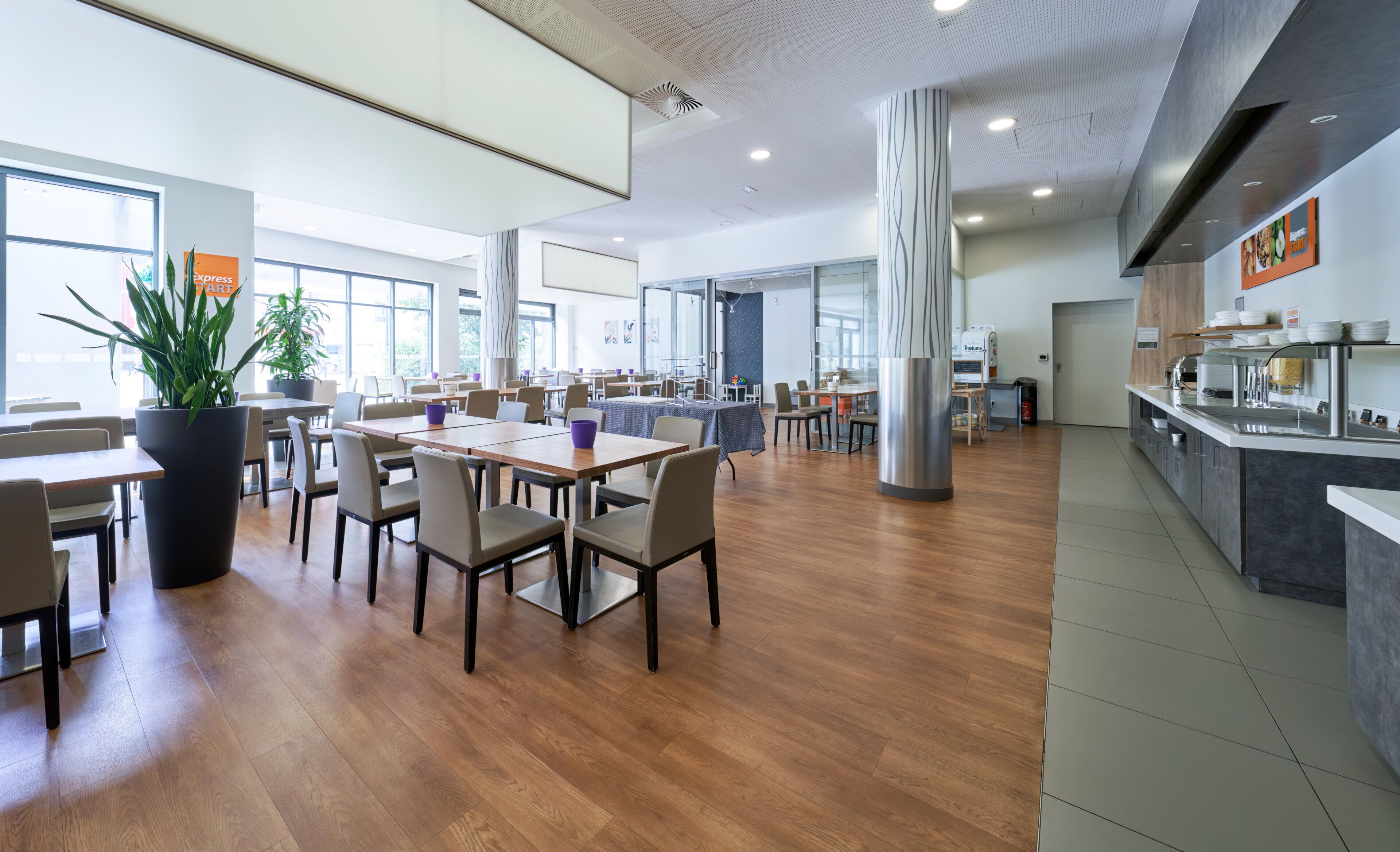 Una cafetería amplia con varias mesas y sillas, una planta grande en maceta y una cocina moderna.