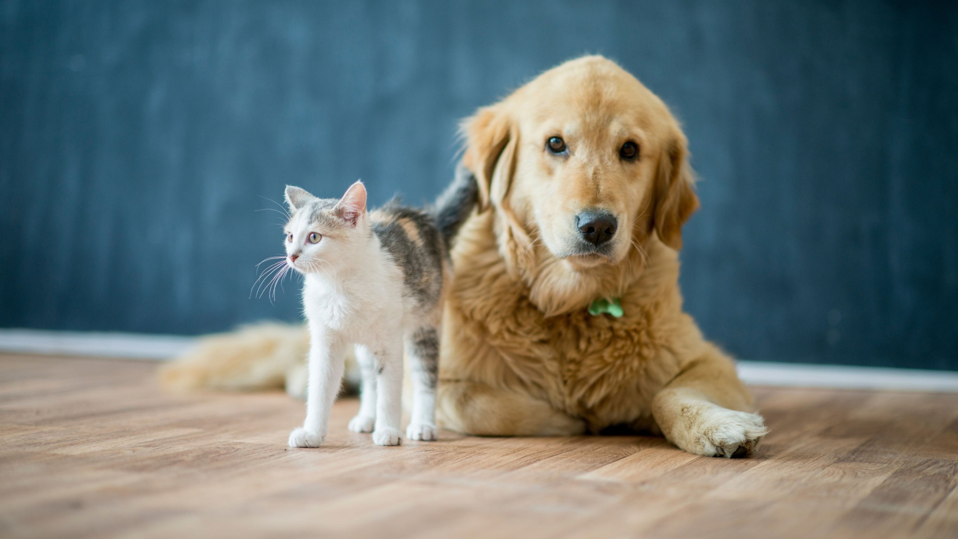 Foto - Holiday Inn Express Strasbourg Centre by IHG