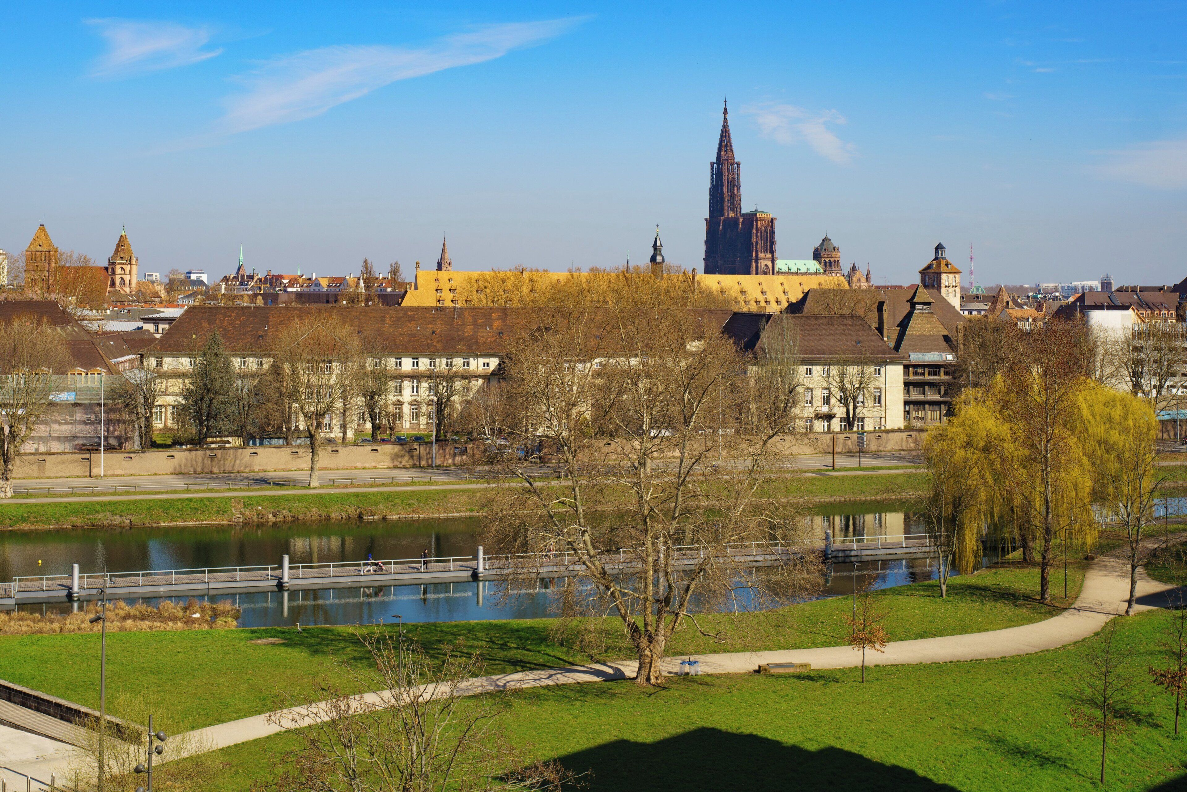 A riverside park with a bridge, buildings, and a prominent tower in the background.