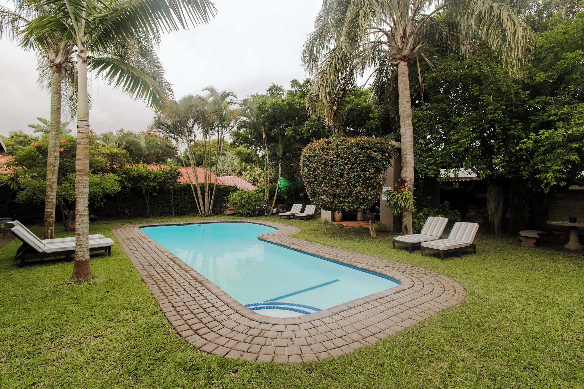 Piscina rectangular con borde de ladrillo, rodeada de césped y palmeras.