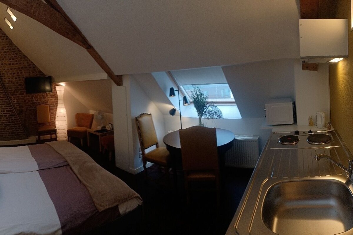 Studio, 2 lits une place, non-fumeurs, coin cuisine | Bureau, rideaux occultants, chambres insonorisées, Wi-Fi gratuit