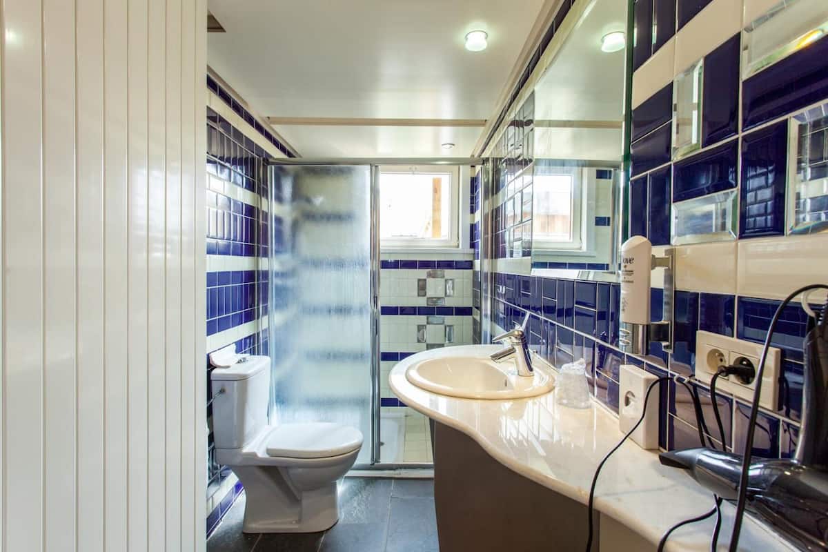 hair dryer, towels, soap, shampoo