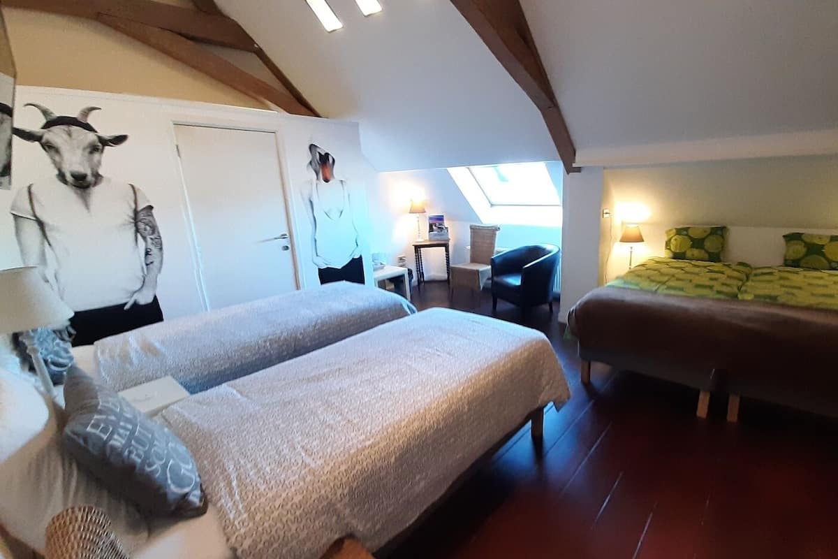 Desk, blackout curtains, soundproofing, free WiFi