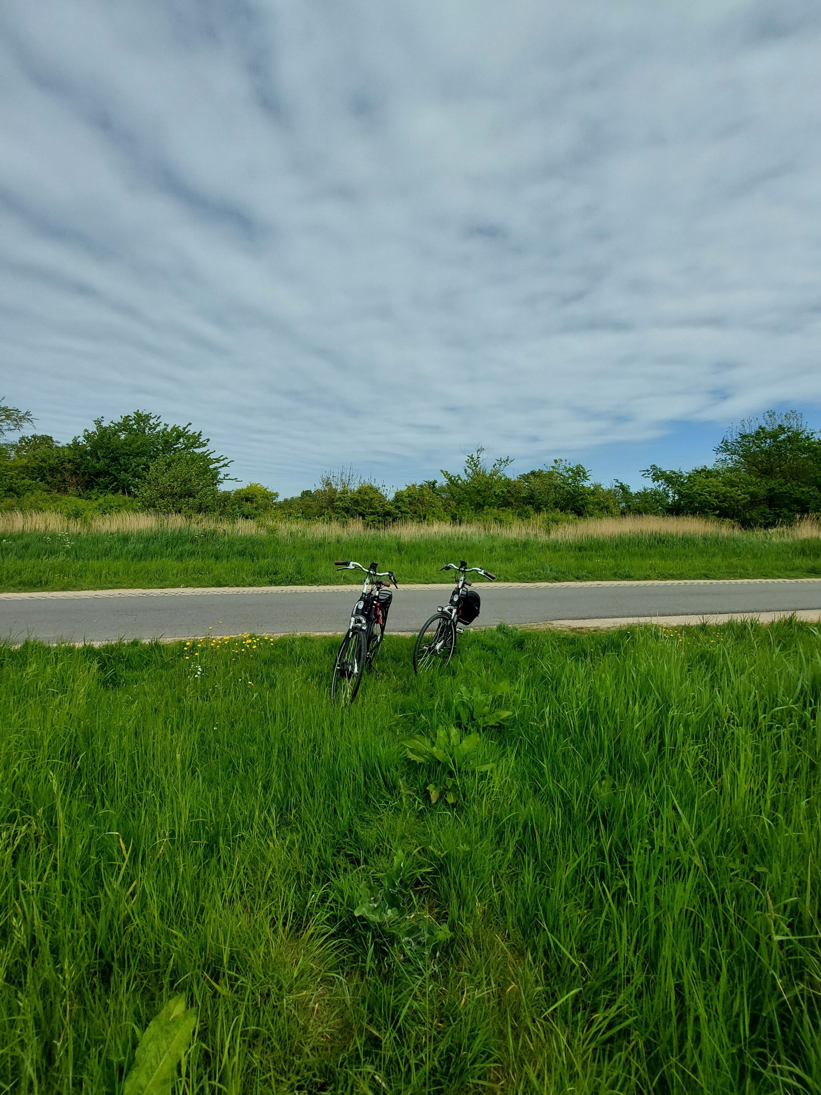 A grassy area with two bicycles parked near a road.
