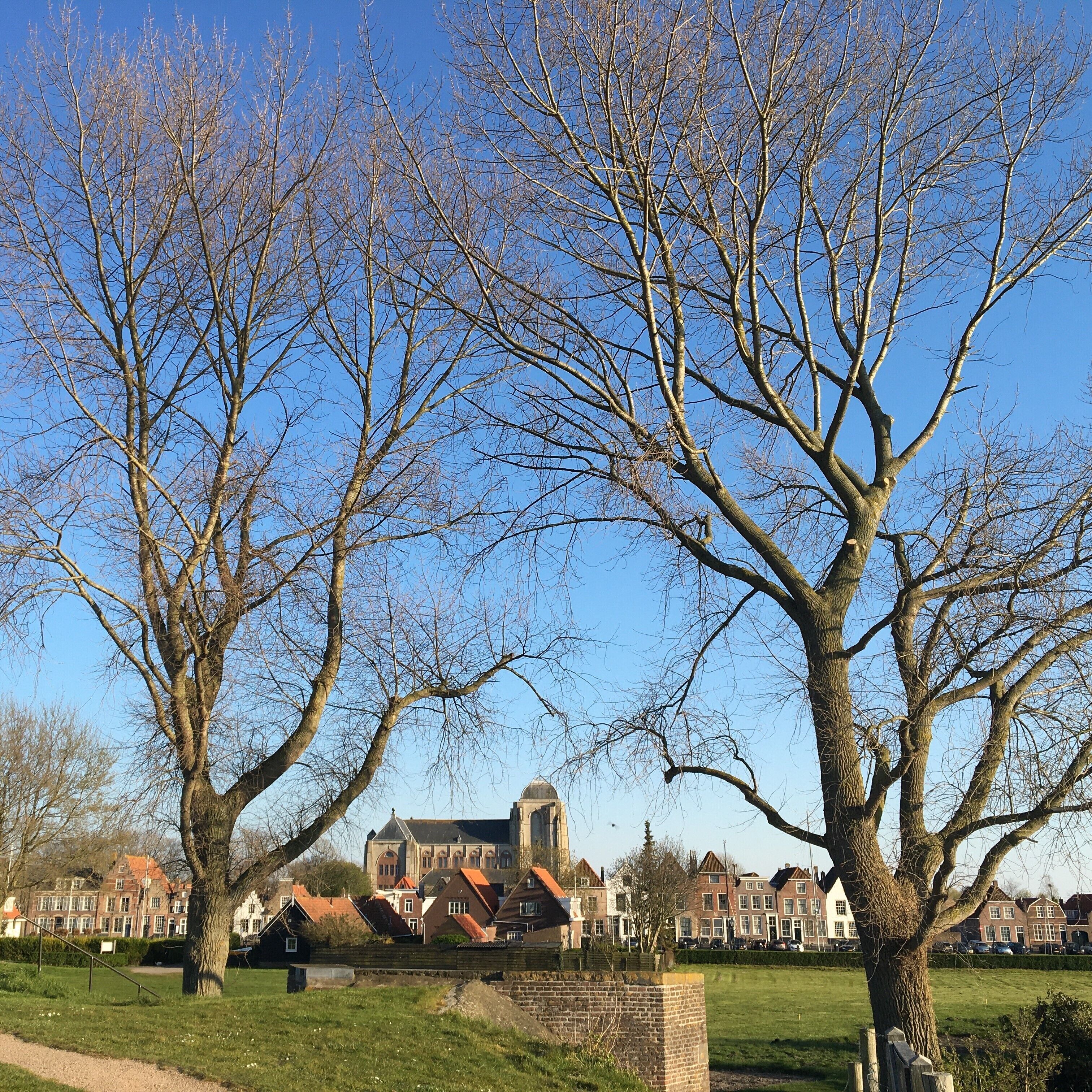 Un parc avec des arbres sans feuilles et, au fond, un bâtiment historique.