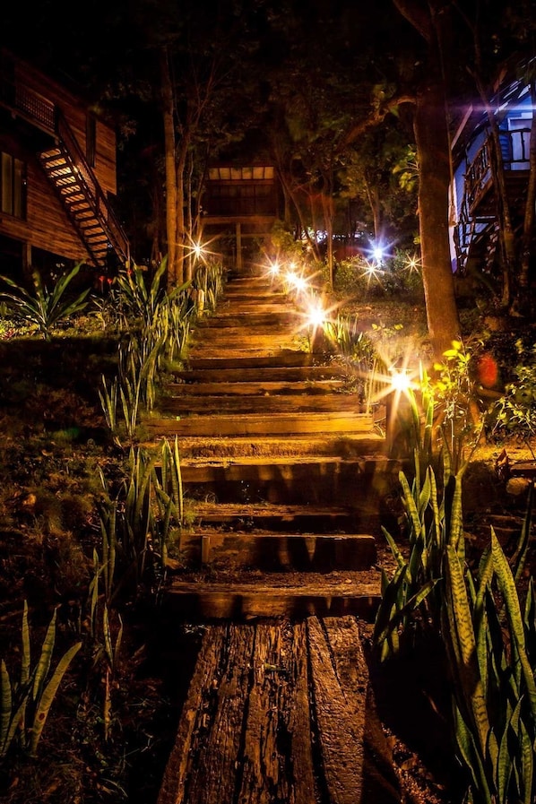 A wooden staircase leading up to a building at night, surrounded by plants and illuminated by star-like lights.
