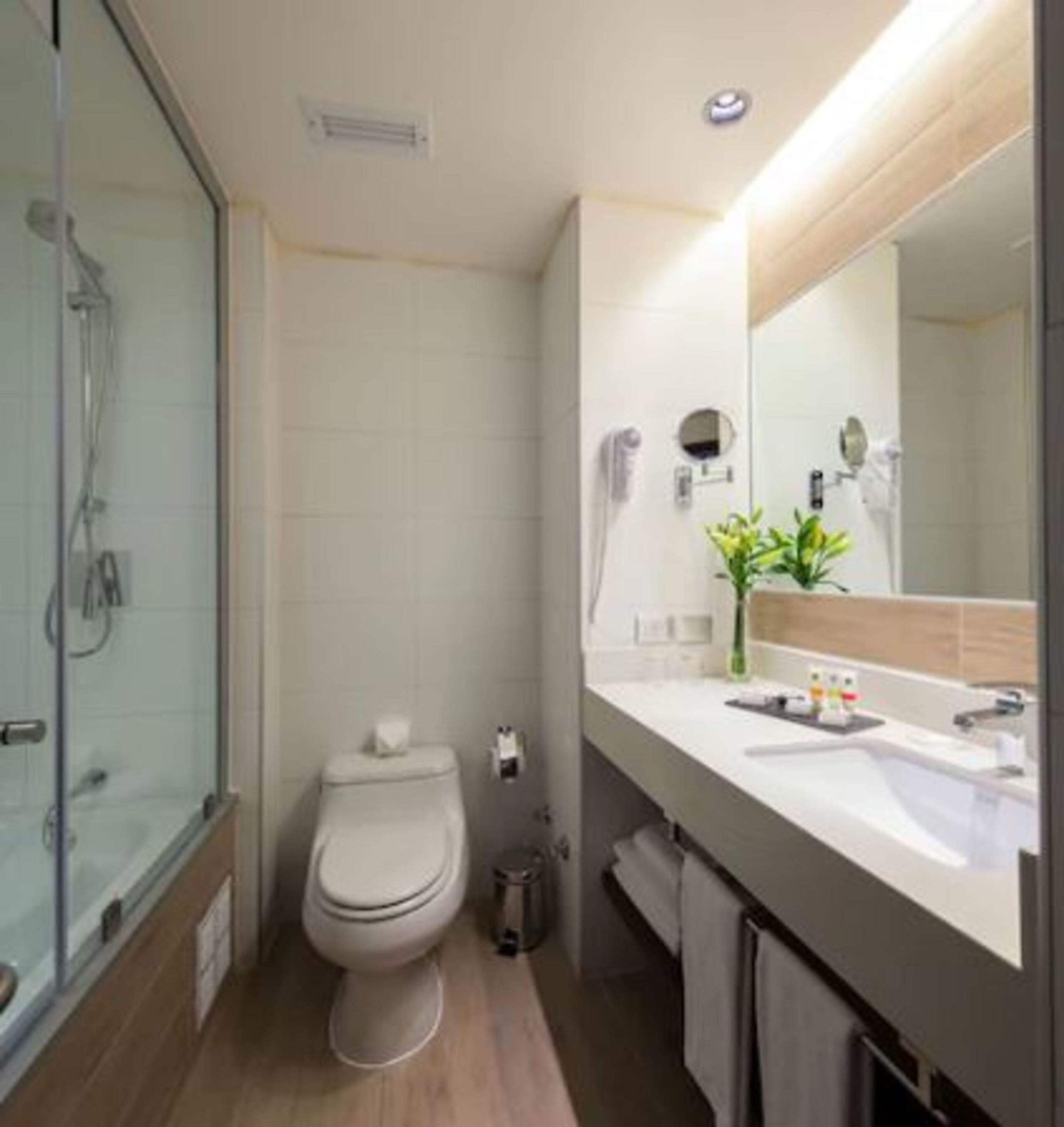 combined shower/bathtub, free toiletries, hair dryer, towels