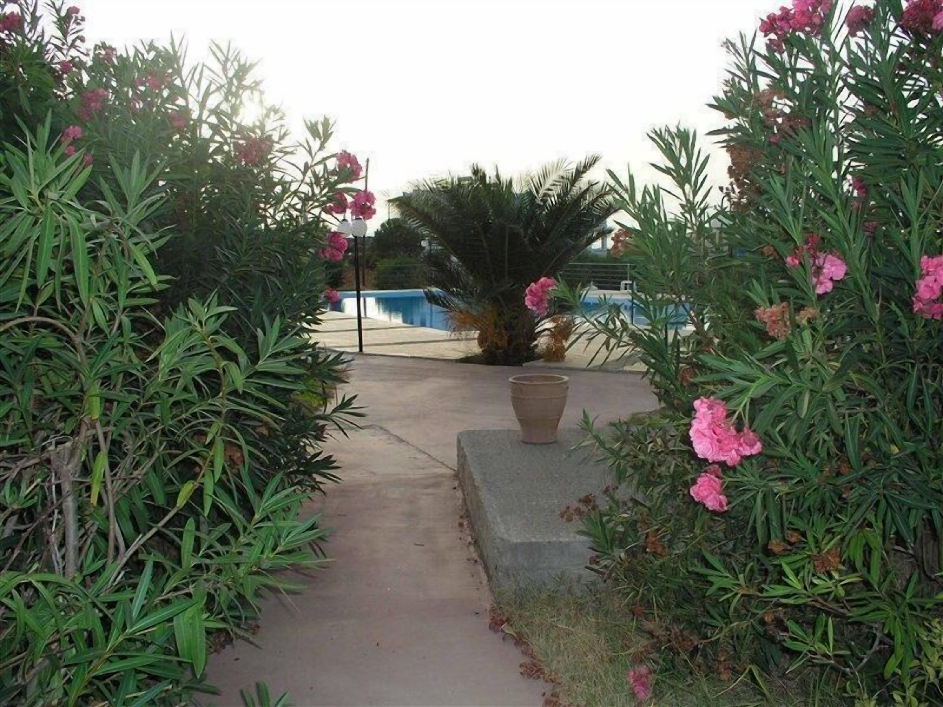 حديقة