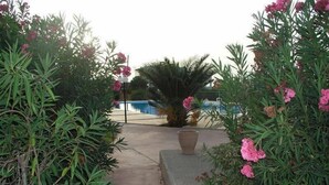 حديقة