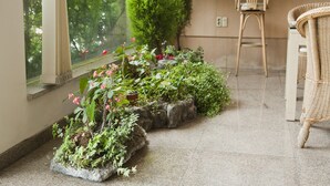 Una habitación con un ventanal amplio, un comedor con una silla y un pequeño jardín con diversas plantas.