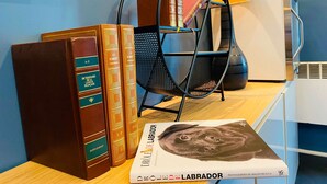 A bookshelf with books and a dog book.