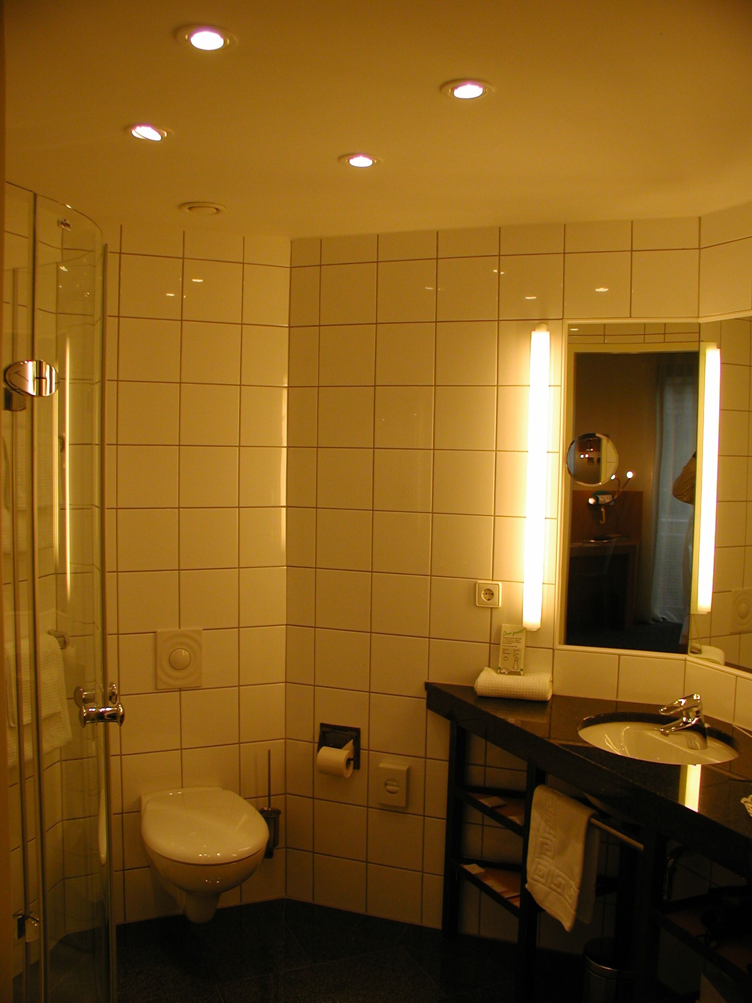 A bathroom with a glass shower enclosure, a white toilet, a sink with a mirror, and a towel rack.