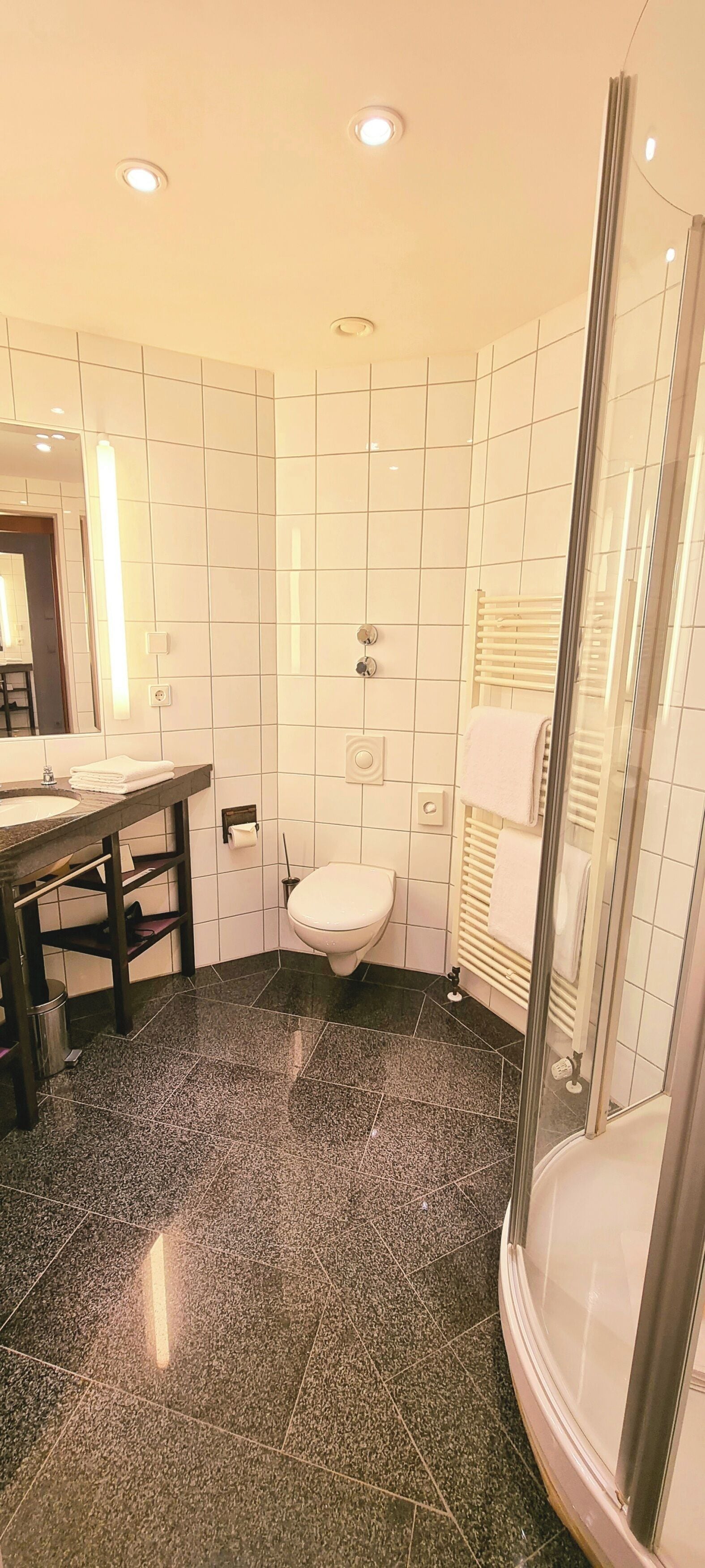A bathroom with a toilet, a shower, and a sink.