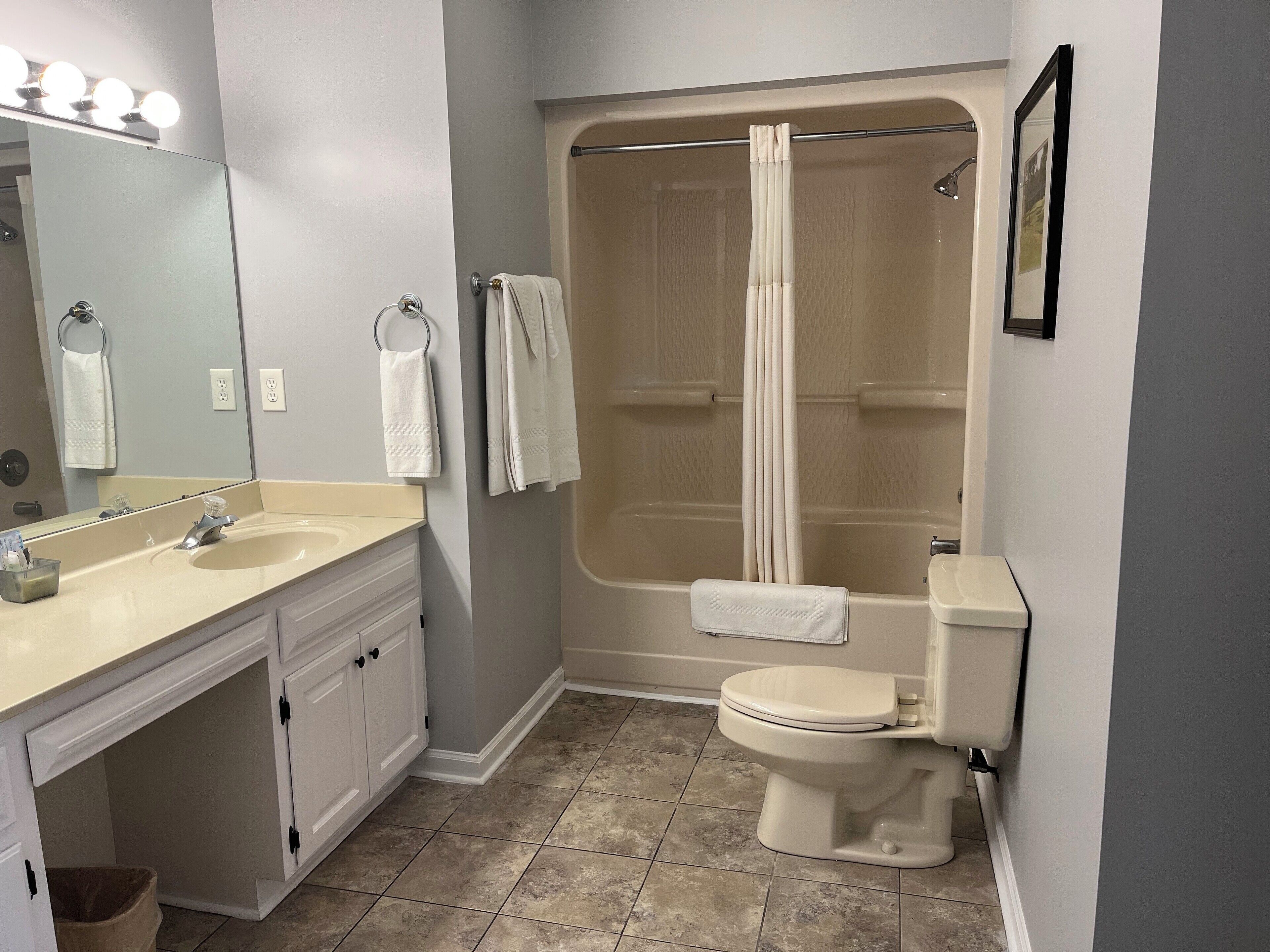 combined shower/bathtub, free toiletries, hair dryer, towels