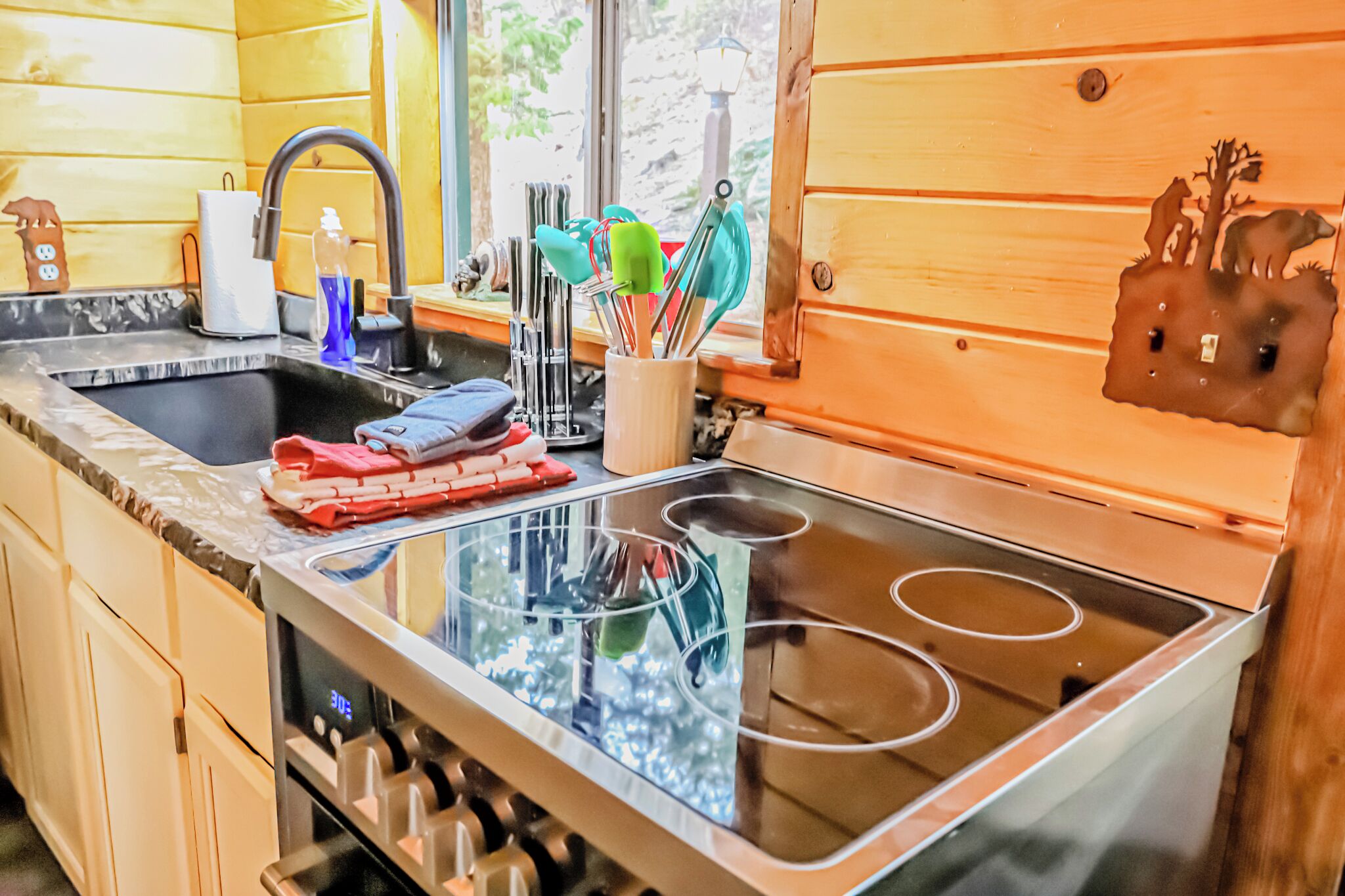 Family Cabin, 2 Bedrooms, Kitchen, Mountainside | Private kitchen | Fridge, microwave, coffee/tea maker