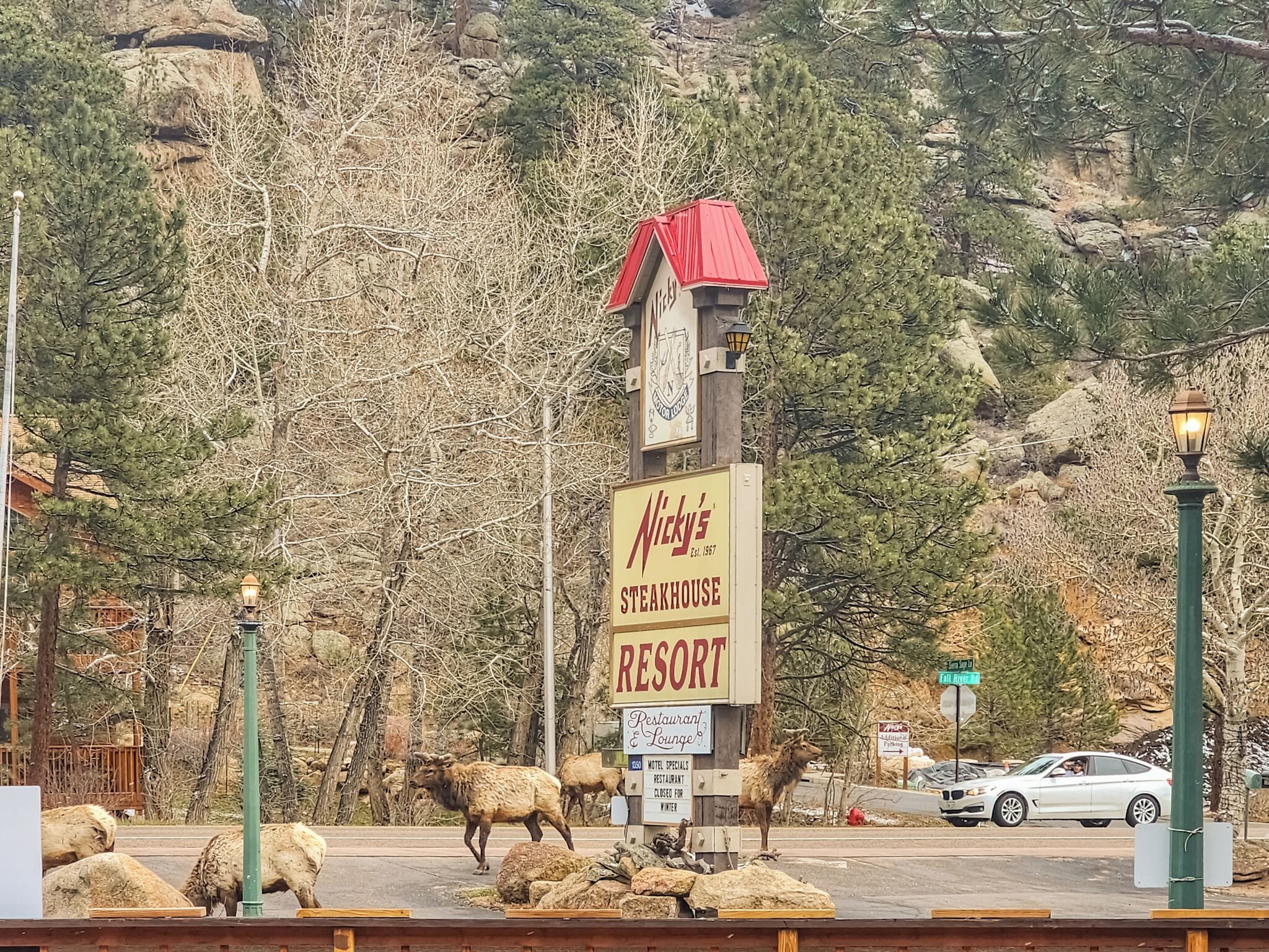 A sign for Nicky's Steakhouse Resort with a rustic building and a mountain backdrop.