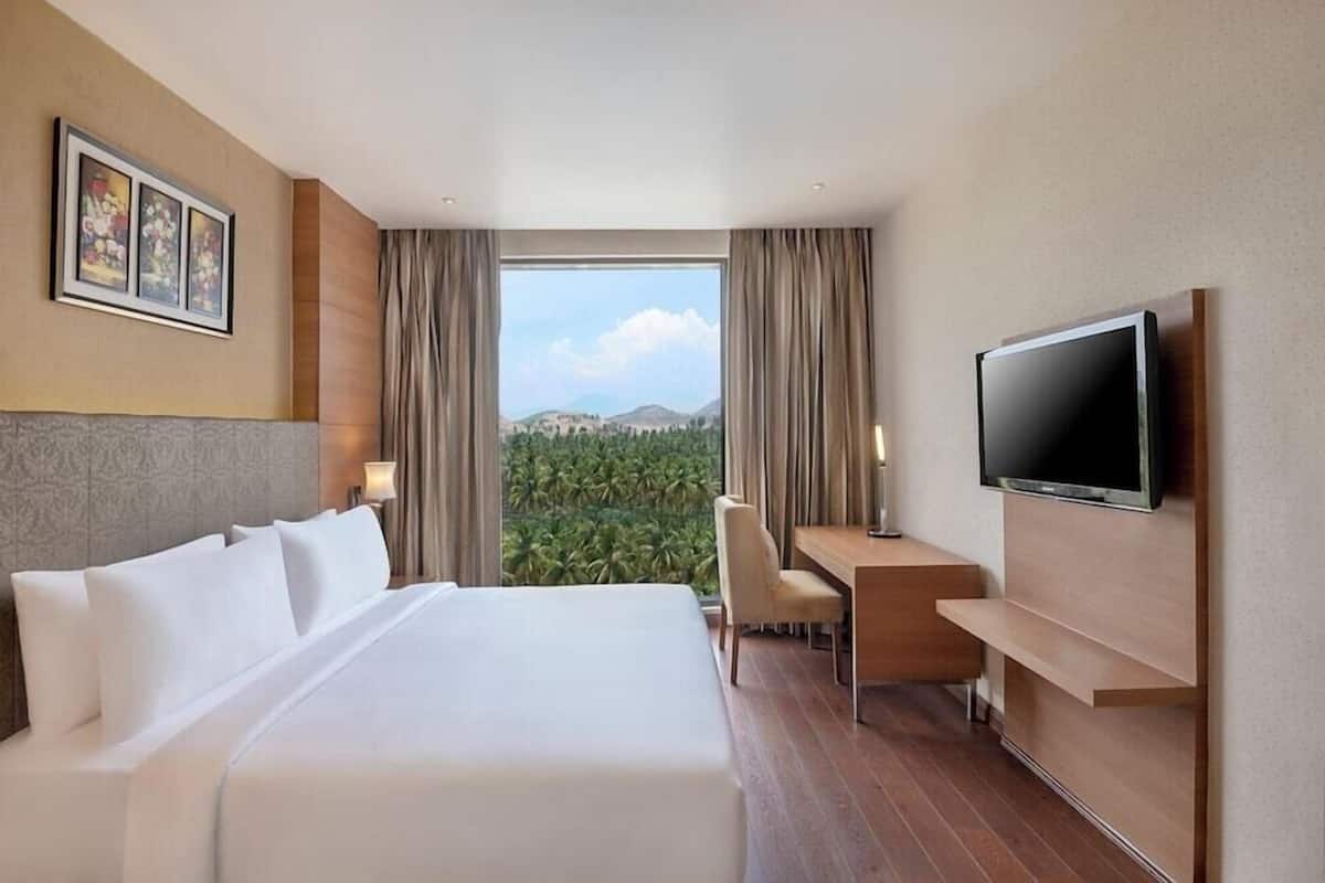 A hotel room with a large bed, a desk, a chair, a TV, and a view of greenery through the window.
