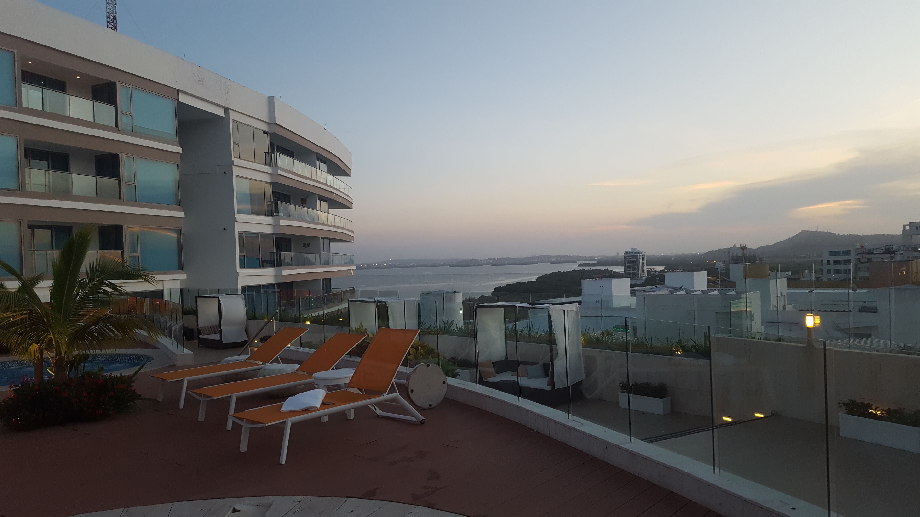 Terraço no telhado com espreguiçadeiras, uma palmeira e vista para o mar e a paisagem urbana.