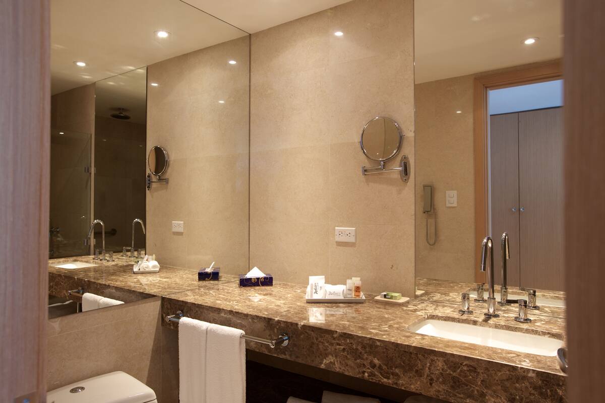 shower, rainfall showerhead, free toiletries, hair dryer