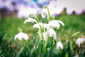 Utendørs lekeområde for barn