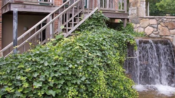 A stone waterfall with a wooden staircase leading up to a balcony. - Winnapaug Inn (Westerly)