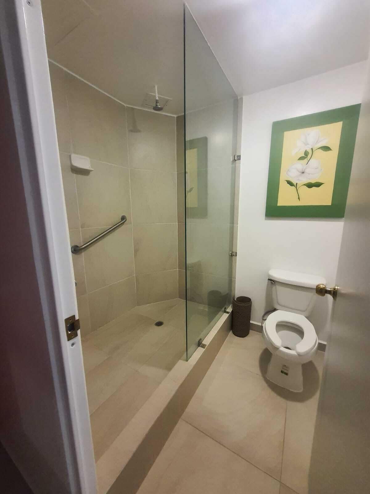 shower, free toiletries, towels, soap