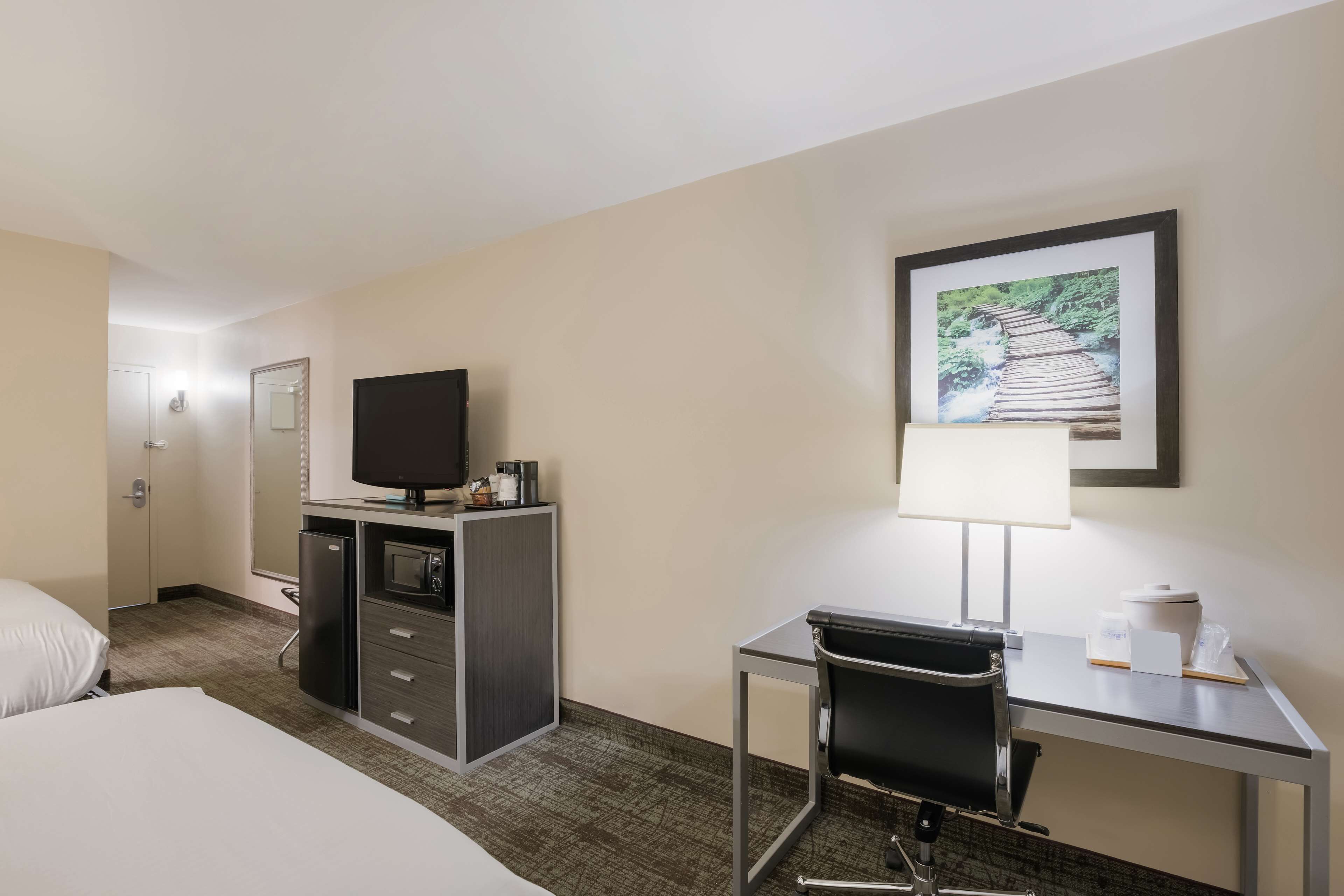 A hotel room with a bed, a desk with a chair, a television, a microwave, a coffee maker, and a framed picture on the wall.