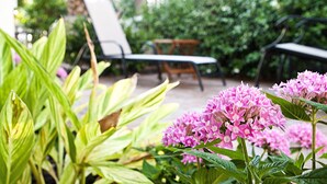 Een tuin met groene planten en roze bloemen, een witte stoel en een houten tafel.