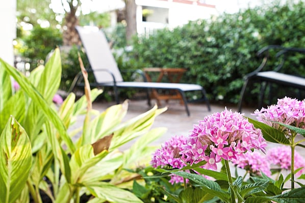 Economy Suite, 1 Bedroom, Non Smoking, Pool Access | Exterior