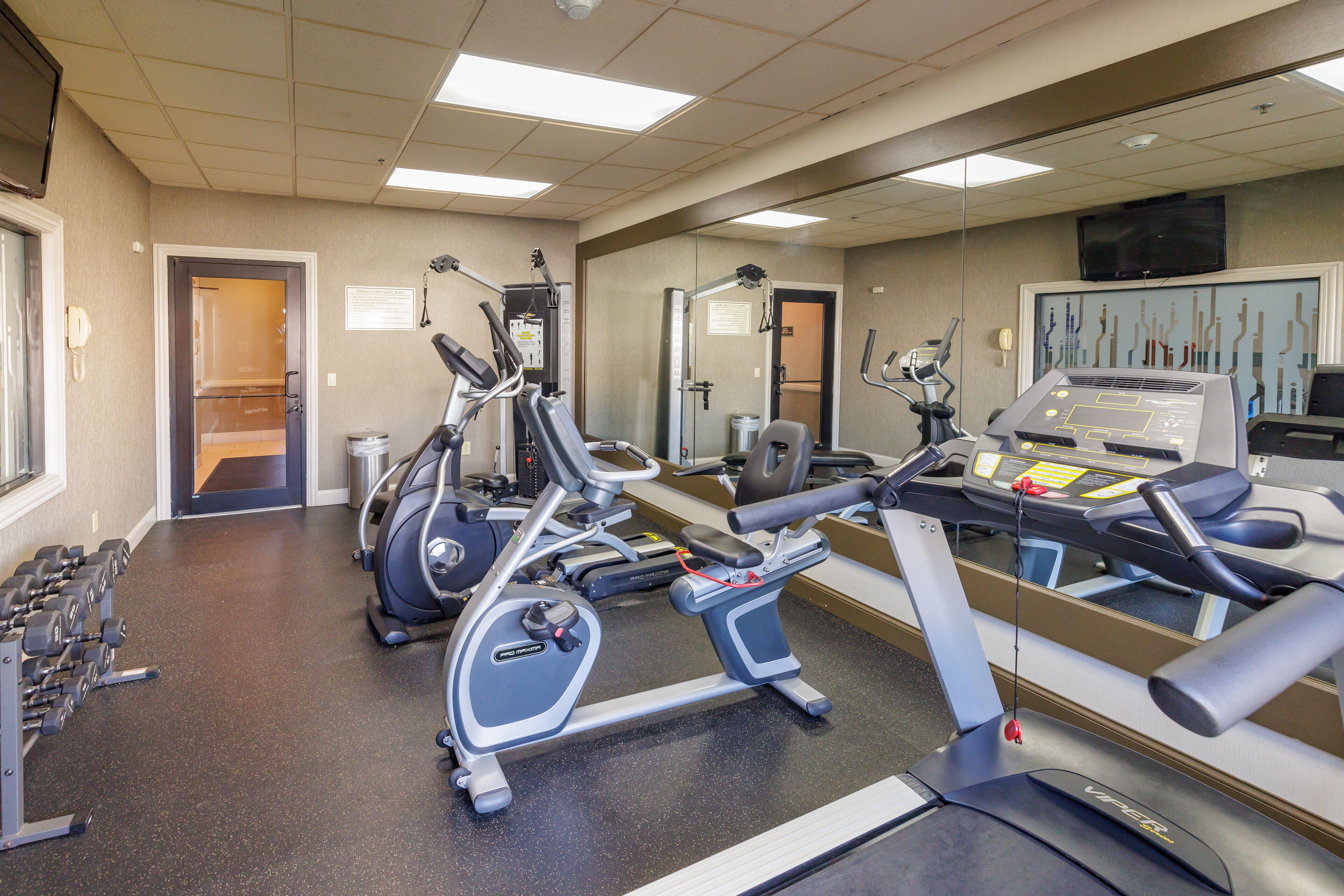 A gym with treadmills, elliptical machines, and free weights.