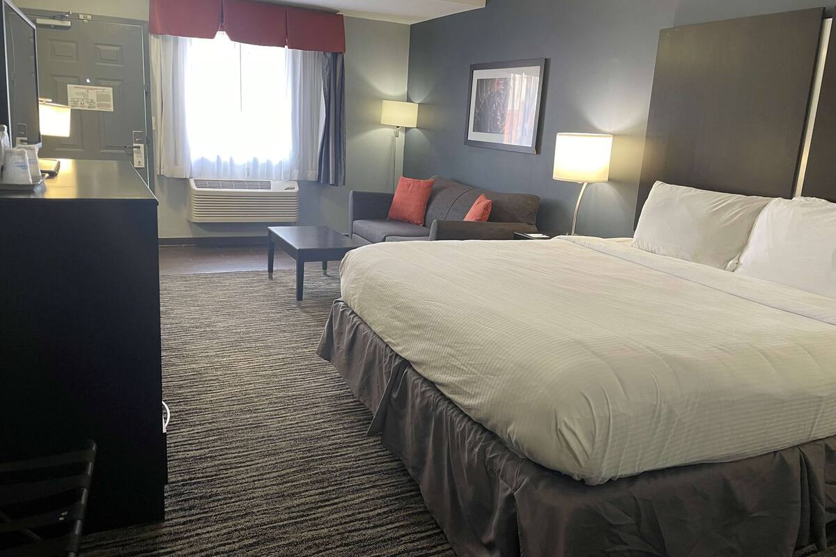 Habitación de hotel con una cama grande, un escritorio, una silla, un sofá, una lámpara y un cuadro en la pared.
